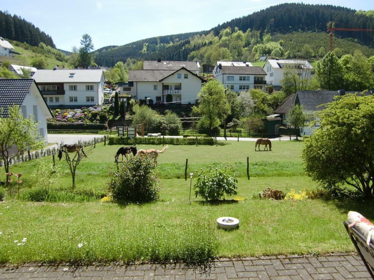 Ferienwohnung Lenne Schmallenberg Exteriér fotografie